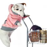 10 Good reasons to Buy Pet Supplies Online