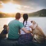How to maintain your Pets Safe in each and every Weather