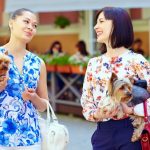 3 Steps For Dog Advice