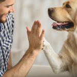 Exploring the advantages of Animal Aided Therapy