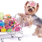 Natural Pet Food - How Important Is It?
