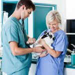 Consider As being a Veterinary Technologist If You Value Creatures