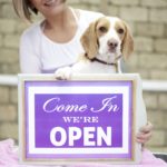 Should You Consider A Dog Daycare Franchise? Find Here!