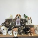 Best Gifts For People Who Love Animals