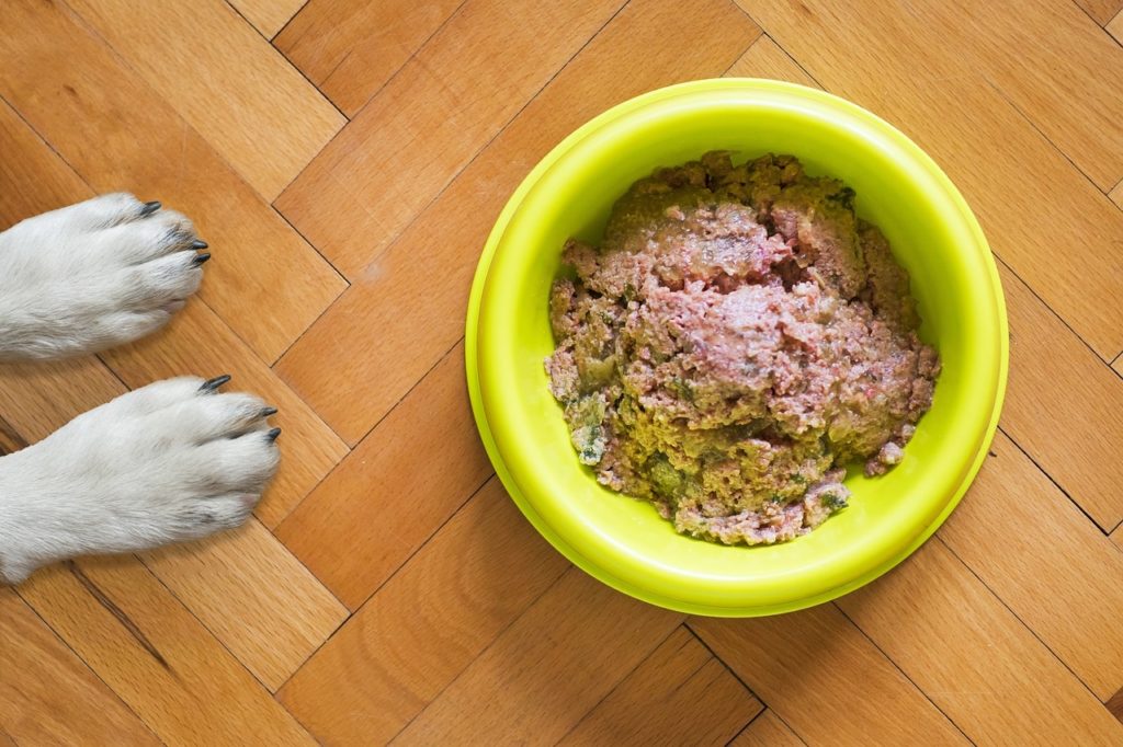 the-best-diet-for-dogs-suffering-from-cancer-ip-dogs-make-your-home