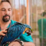 A Pet Owner With The Absolute Pet Care Information