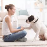 Why need dog kennels Sydney & know the Importance and advantages of dog kennels Sydney
