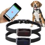 How to find the perfect GPS dog collar for your dog?