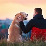 Essential Products For Caring For Your Furry Friend