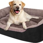 Tips for buying the best dog bed for your home
