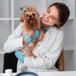 The Art of Pet Care: Ensuring a Happy and Healthy Life for Your Companion