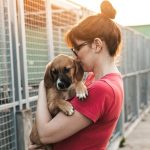 The Benefits of Adopting Rescue Pets Instead of Buying
