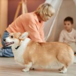 Choosing the Right Dog Breed for Different Family Lifestyles